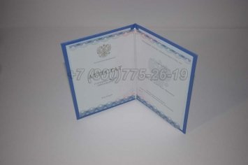 Аттестат За 11 Класс 2021г ГОЗНАК в Мурманске