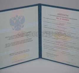 Диплом MBA 2023г в Мурманске