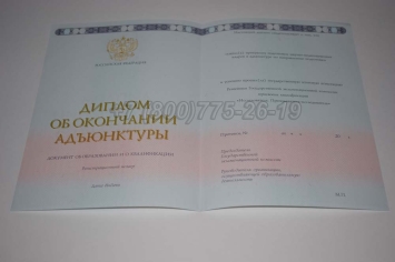 Диплом Адъюнктуры 2025г в Мурманске